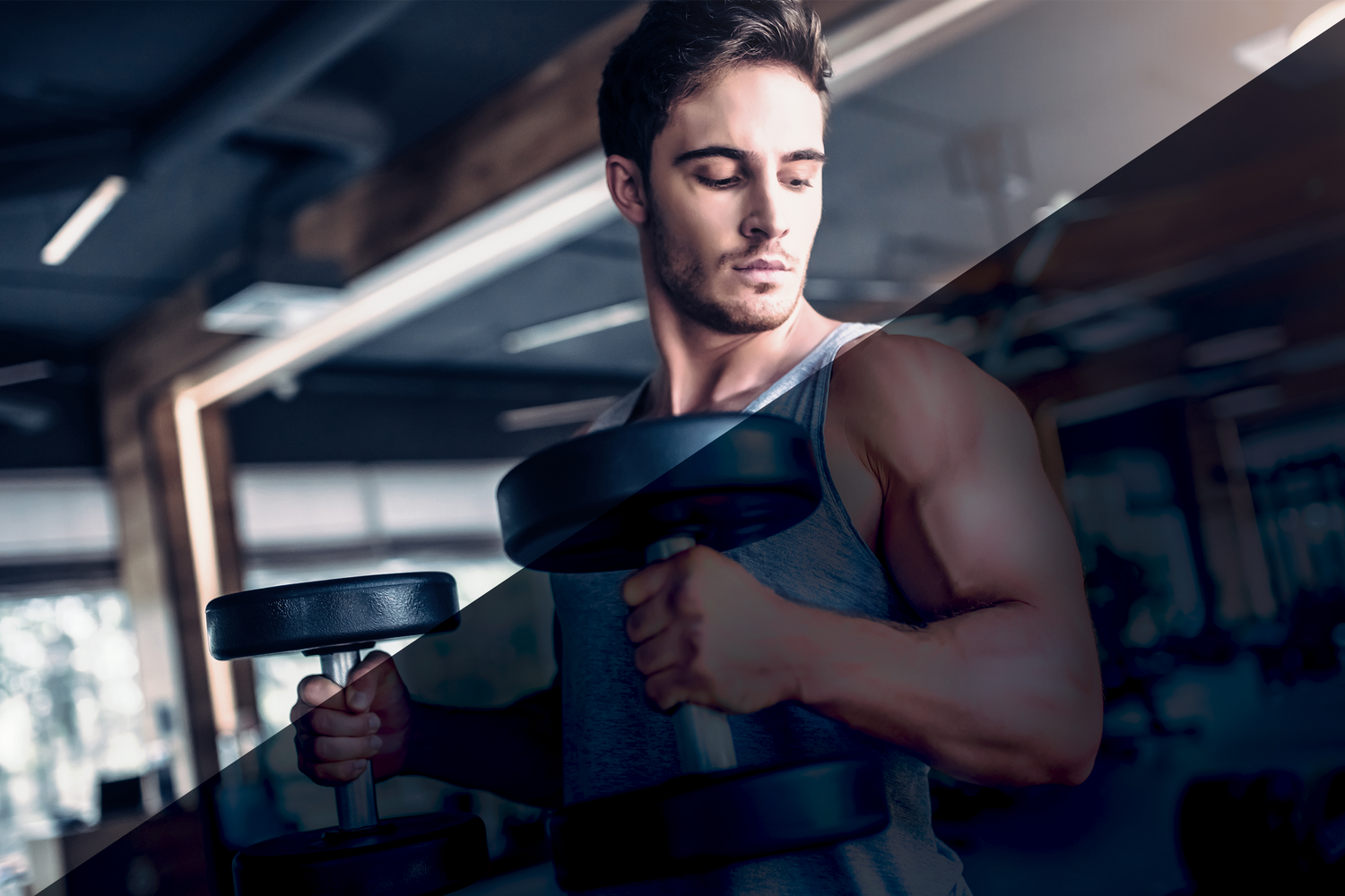 Morning gym session vs evening: Which is best? - Nutritional ...